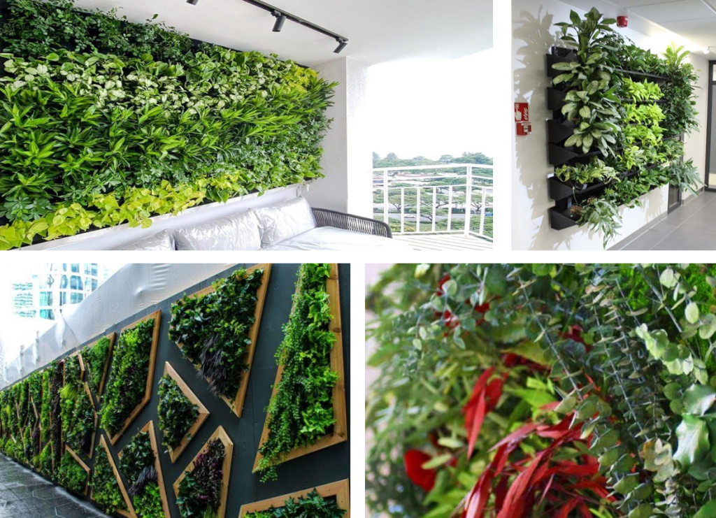 Preserved Green Wall Ayat Altabiea